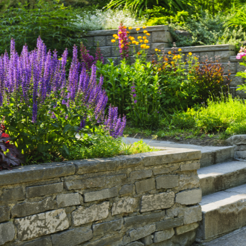 Soft landscaping by GMH Landscaping with vibrant plants and turfing in a Manchester garden.